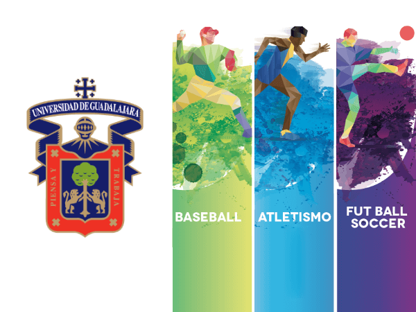 Apa Diseño Identidad e imagen Corporativa en Guadalajara Universidad Udeg